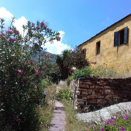 Ikarian Centre - Accommodation & Mountain Hiking Évdilos Exterior foto