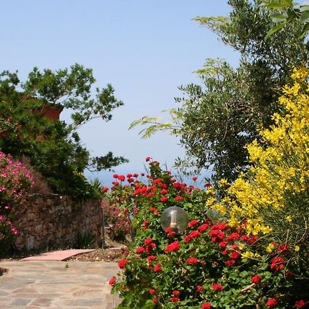 Ikarian Centre - Accommodation & Mountain Hiking Évdilos Exterior foto