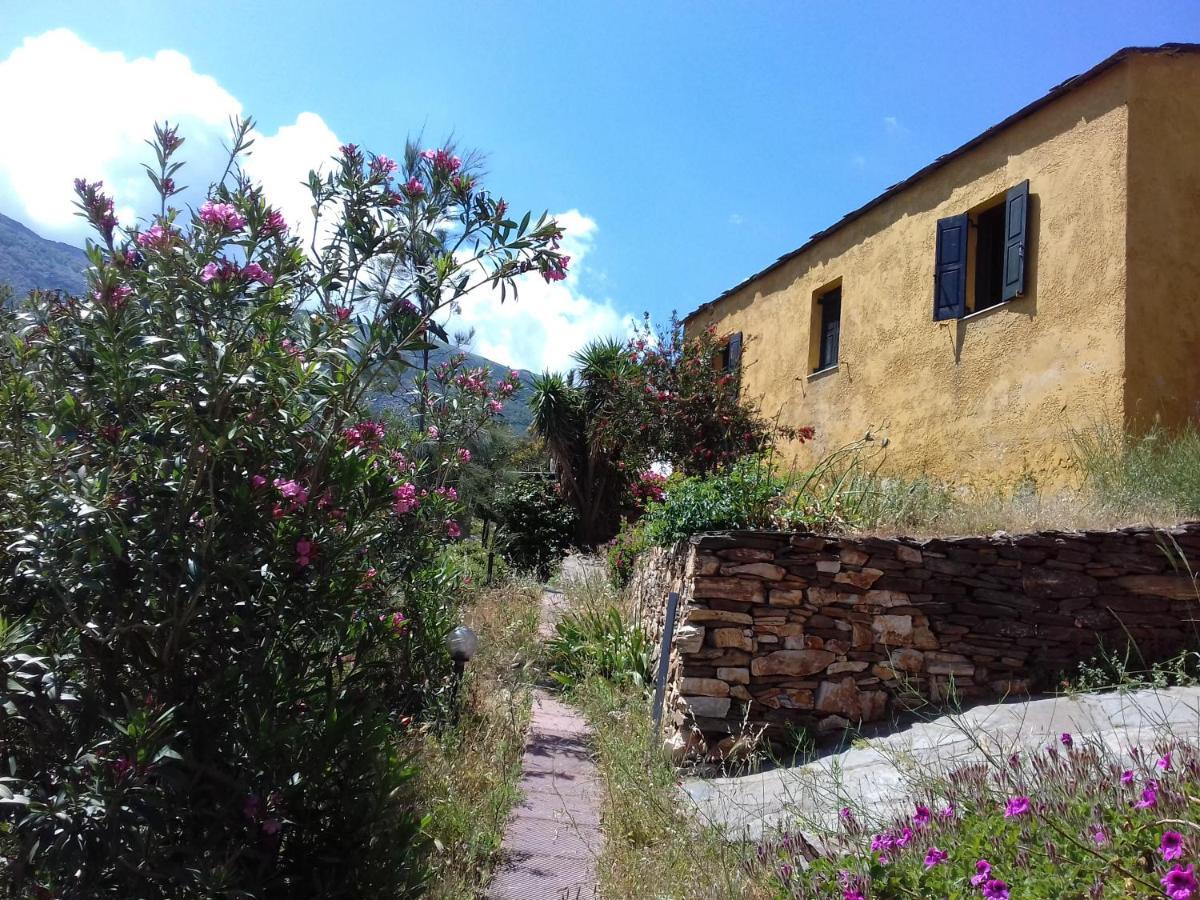 Ikarian Centre - Accommodation & Mountain Hiking Évdilos Exterior foto