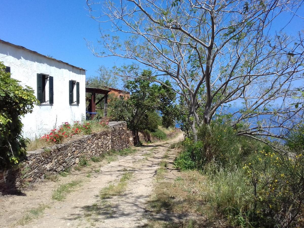 Ikarian Centre - Accommodation & Mountain Hiking Évdilos Exterior foto